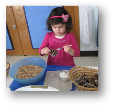 Montessori Preschool in Crystal Lake, Cary, Lake in the Hills, Algonquin